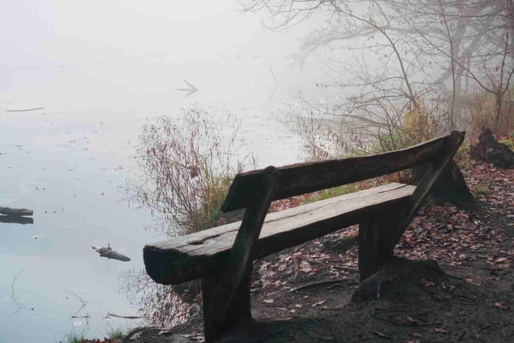 Dachwohnung Mit Wasserblick Und Eigenem Bootssteg Berlin Extérieur photo